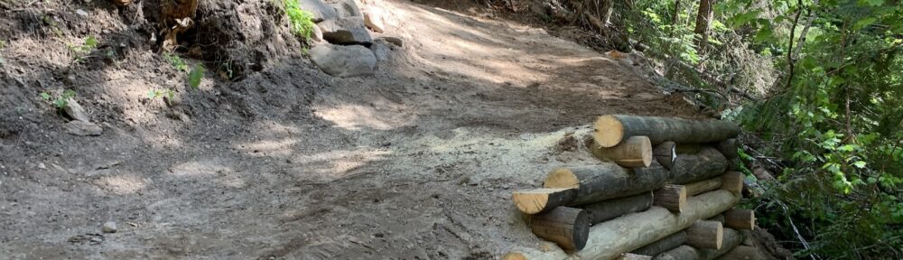 trail work on dog river mt hood